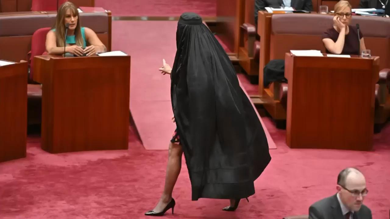 Australian Senator Pauline Hanson barred from Parliament for wearing burqa in protest