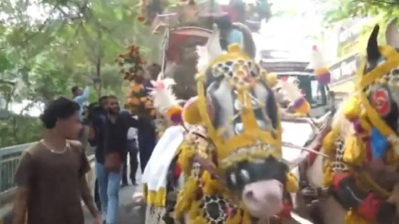 Bihar Election Results 2025 LIVE: BJP workers arrive at RJD office riding Rath