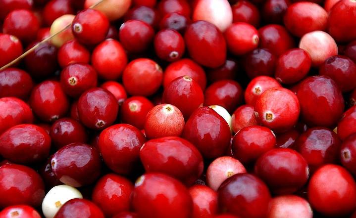 What Climate Change Means For Your Thanksgiving Dinner