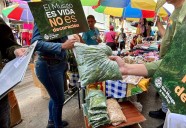 El Gobierno Nacional confirma la prohibición de comercialización de musgo