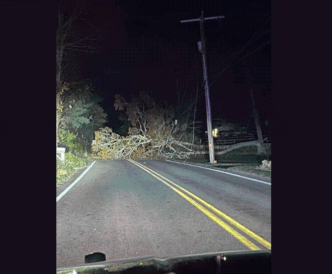Wind takes down trees causing power outages and road closures