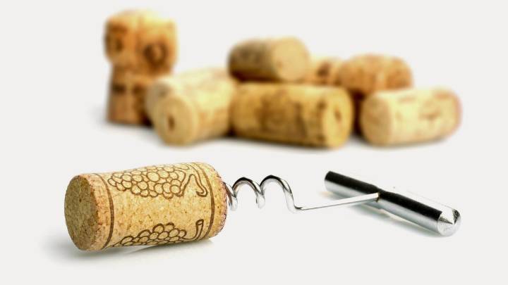 Alta gama, otros más accesibles y el primer 0% alcohol de una bodega argentina: 10 etiquetas que vale la pena probar