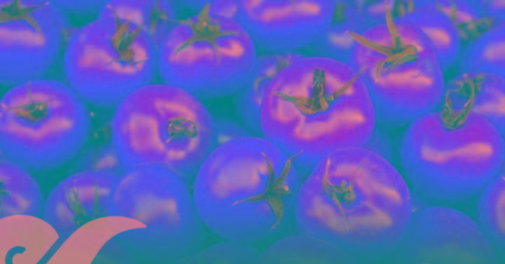 Trump elimina aranceles al tomate y otros productos agrícolas