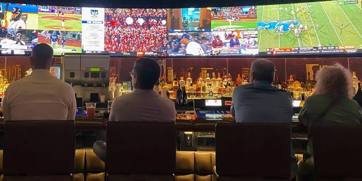 ¿Tienes que realmente amar el deporte para ser bueno en apuestas?