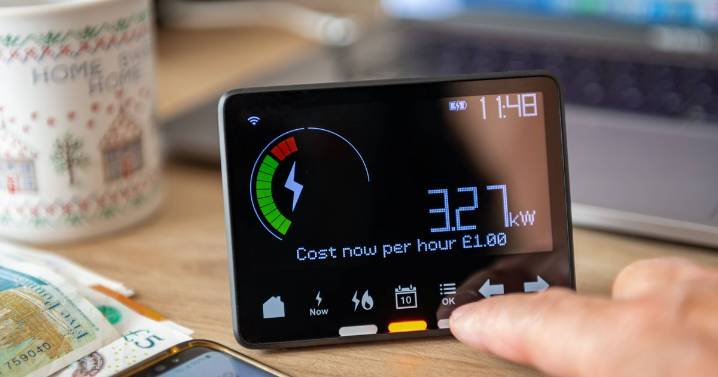 One Octopus and EDF Energy tip can cut £80 from gas and electricity bills