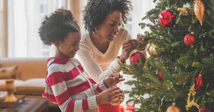 Master Gardener: Which Christmas tree species is the best for you?