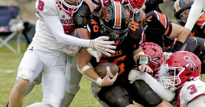 Unbeaten Milledgeville slips past South Beloit in 8-man football quarterfinal – Shaw Local