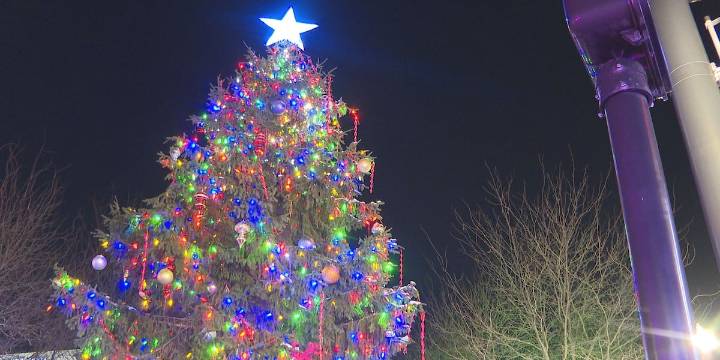 Weekend Roundup: Annual Holiday Lighting Festival, Ebony Nutcracker, Rudolph performances