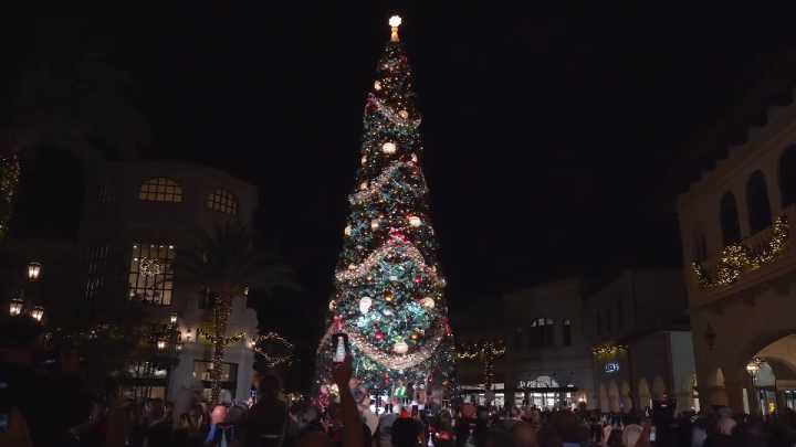 Guests gather in Orlando to witness Christmas tree lighting ceremony at Disney Springs