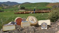 Un queso de cabra curado de Málaga, entre los 51 mejores quesos del mundo