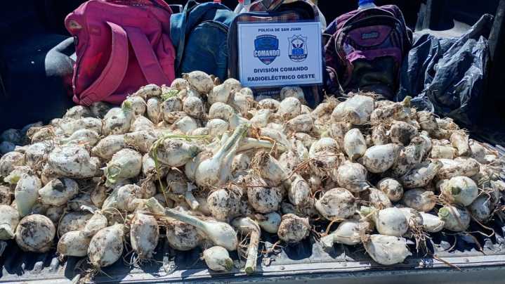 Robo frustrado en Marquesado atraparon a dos ladrones con bolsas de cebollas