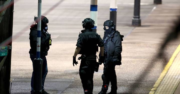 Nine suffer life-threatening injuries as terror police probe train stabbing