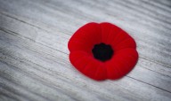 Calgary’s poppy campaign: Where your donation goes