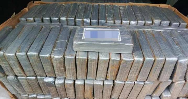 Golpe millonario al narco en el AICM: Caen 4 traficantes y aseguran 270 kilos de cocaína