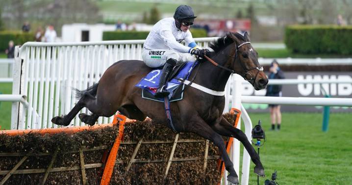 Trainer Nicky Henderson reacts to Constitution Hill's fall in Fighting Fifth Hurdle
