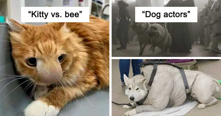 33 Pics That Might Make You Say “Awww” Before You Realize How Disturbing They Are