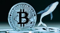 Prezzo di Bitcoin in Calo: "OG Whales" di BTC Vendono
