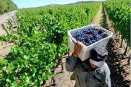 Neuquén promociona su Camino del Vino en Paraguay