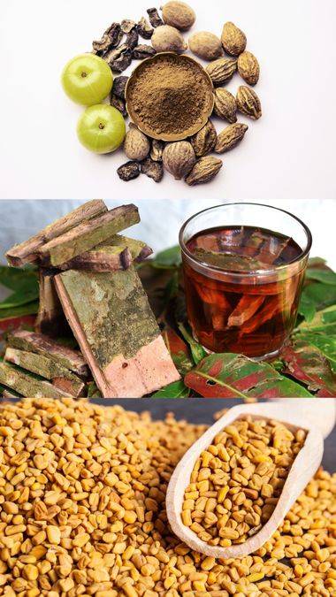 Natural Ayurvedic Ways to Balance Cholesterol