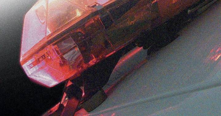 Two men from Brooklyn died in Petersburg Tesla crash