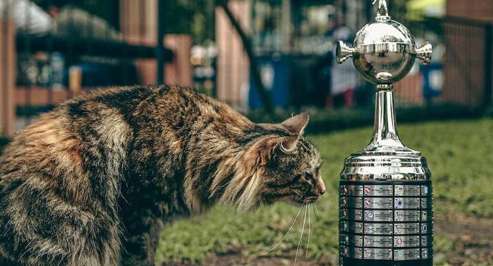 Copa Libertadores: La curiosa publicación de la Conmebol, a pocos días de la final única en Lima últimas