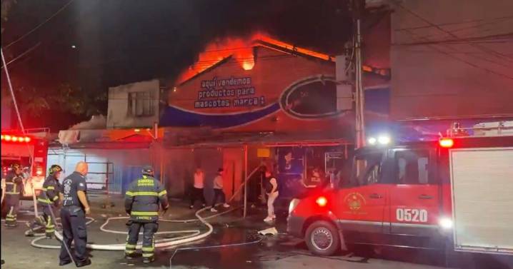 Fuerte incendio en bodega de alimento para mascotas en la colonia Morelos: ¿Cuál fue la causa y que daños dejo?