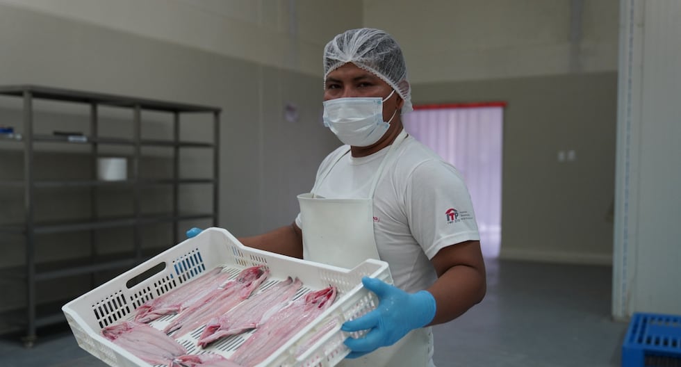 Huánuco: impulsan la innovación de los emprendedores a través de capacitaciones