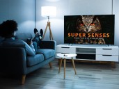 MagellanTV documentary subscription: Explore science, crime & more