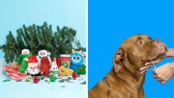 My favorite Black Friday pet deals and sales to shop today