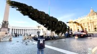 El Vaticano inicia los preparativos para las fiestas con su árbol navideño