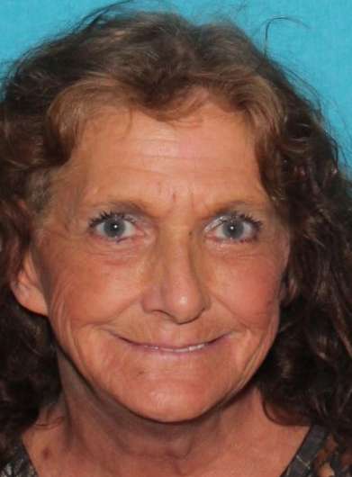 Search for Fergus Falls woman last seen on Halloween