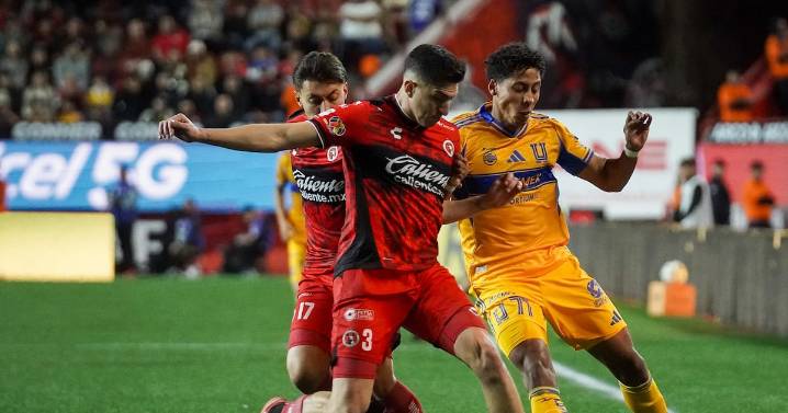 Tigres vs. Xolos: ¿Dónde y a qué hora ver el juego de Cuartos de Final de la Liga MX?