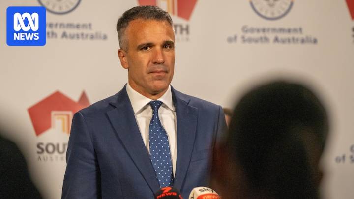 Hotels 'disappointed' by COP31 loss, but SA Premier suggests future bid