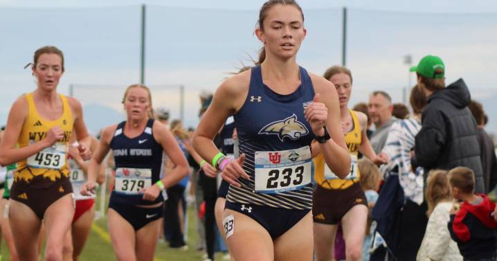 Montana State cross country teams place 11th at NCAA Mountain Regionals