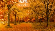 What does the word ‘bucolic’ mean? How to use the term to describe your next autumn escape