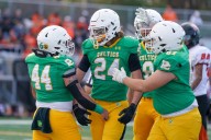 Illinois high school football: State playoff scores and schedule