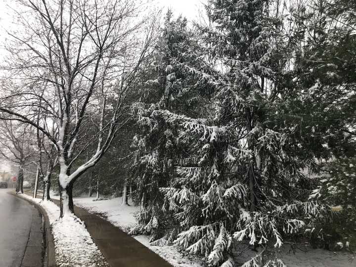 Light snow coats ground in parts of N.J. See snow totals in 3 counties.