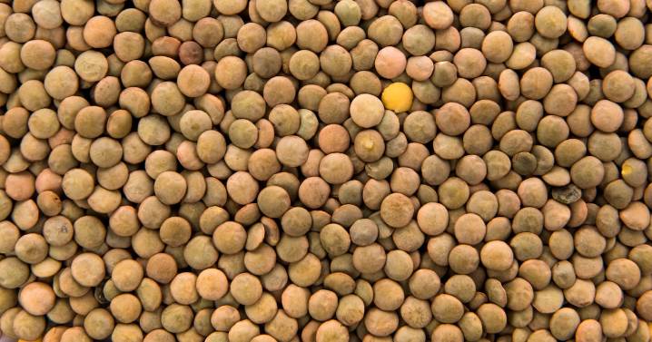 Beneficios de las lentejas para el organismo