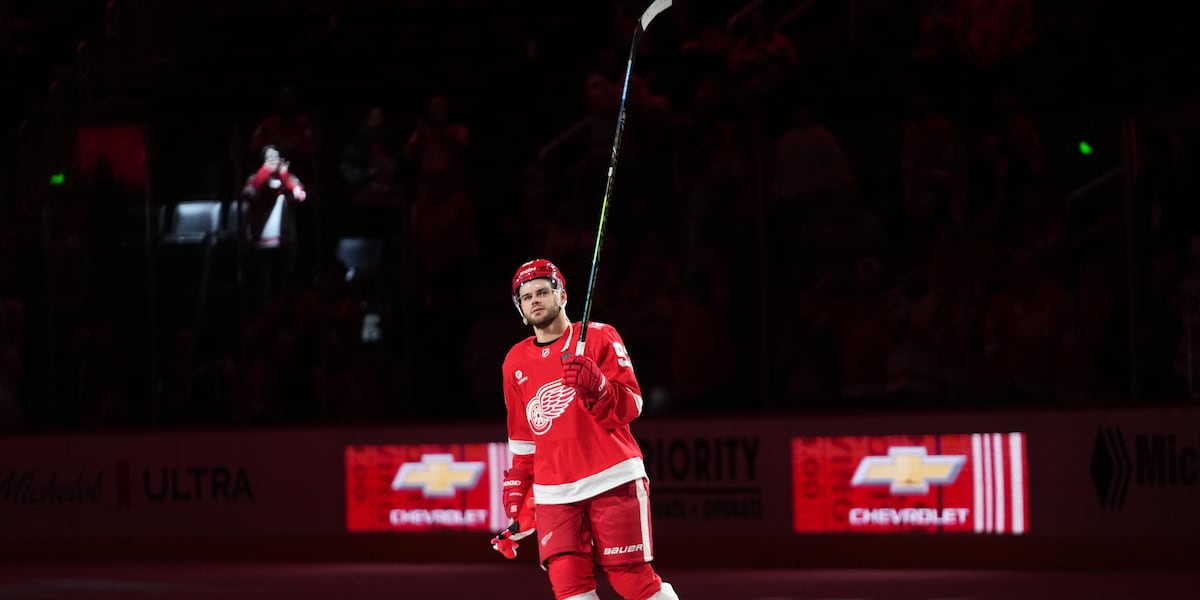 Alex DeBrincat scores twice, Red Wings beat Ducks 6