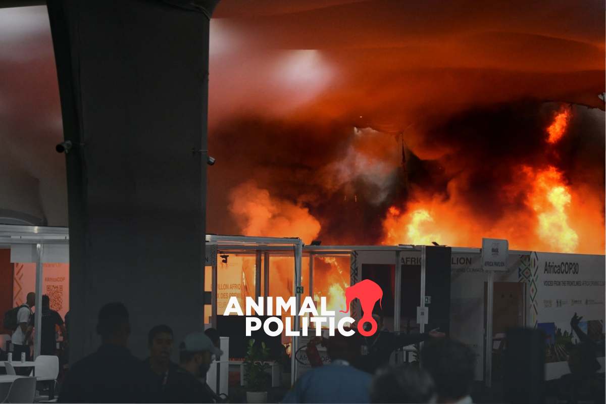 Evacuan a miles de la sede de la COP30 en Brasil por incendio en el pabellón central