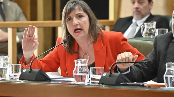 Zaragoza vive un pleno marcado por la tensión que acaba con la reprobación de Ranera con los votos de PP y Vox