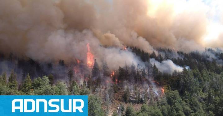 Chubut declaró el Estado de Emergencia Ígnea en toda la zona cordillerana hasta abril de 2026
