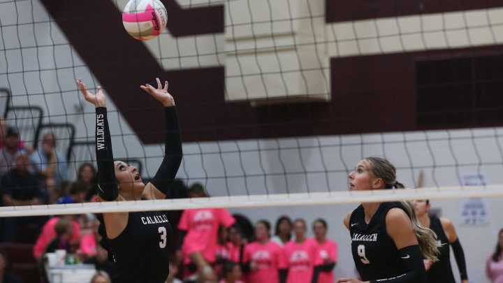 Check out the top performers from the high school volleyball playoffs