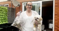 Woman flees UK for Australia after mystery egg attacks that left dog scared to go outside