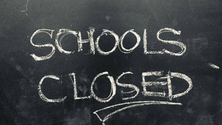 Bihar, Telangana Schools Closed On November 14 Due To Bye-Elections Voting Counts; Polling Underway