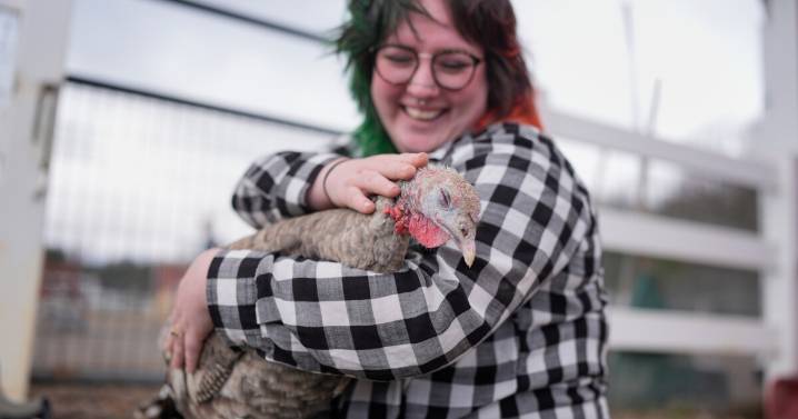 At The Gentle Barn in Tenn., turkeys are for snuggling, not stuffing at Thanksgiving