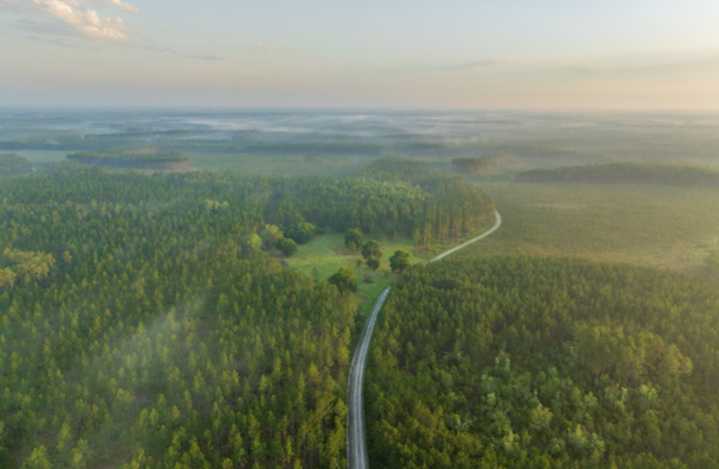 North Florida Land Trust gets defense grant to help protect land preserves around Camp Blanding