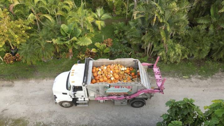Pinecrest Students Transform Pumpkins into Compost at Inaugural Event