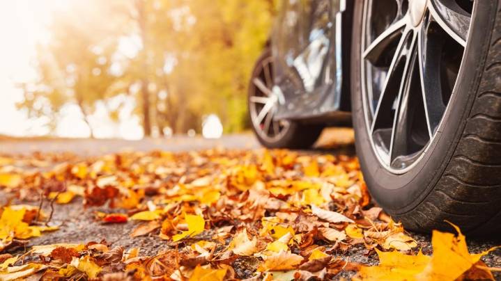 Fall driving hazards: Wet leaves and sun glare require extra caution