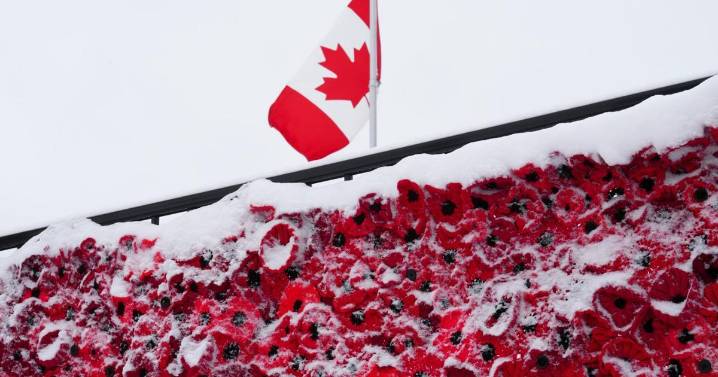 The Latest: Canadians across country gather to honour those who fought, died in wars